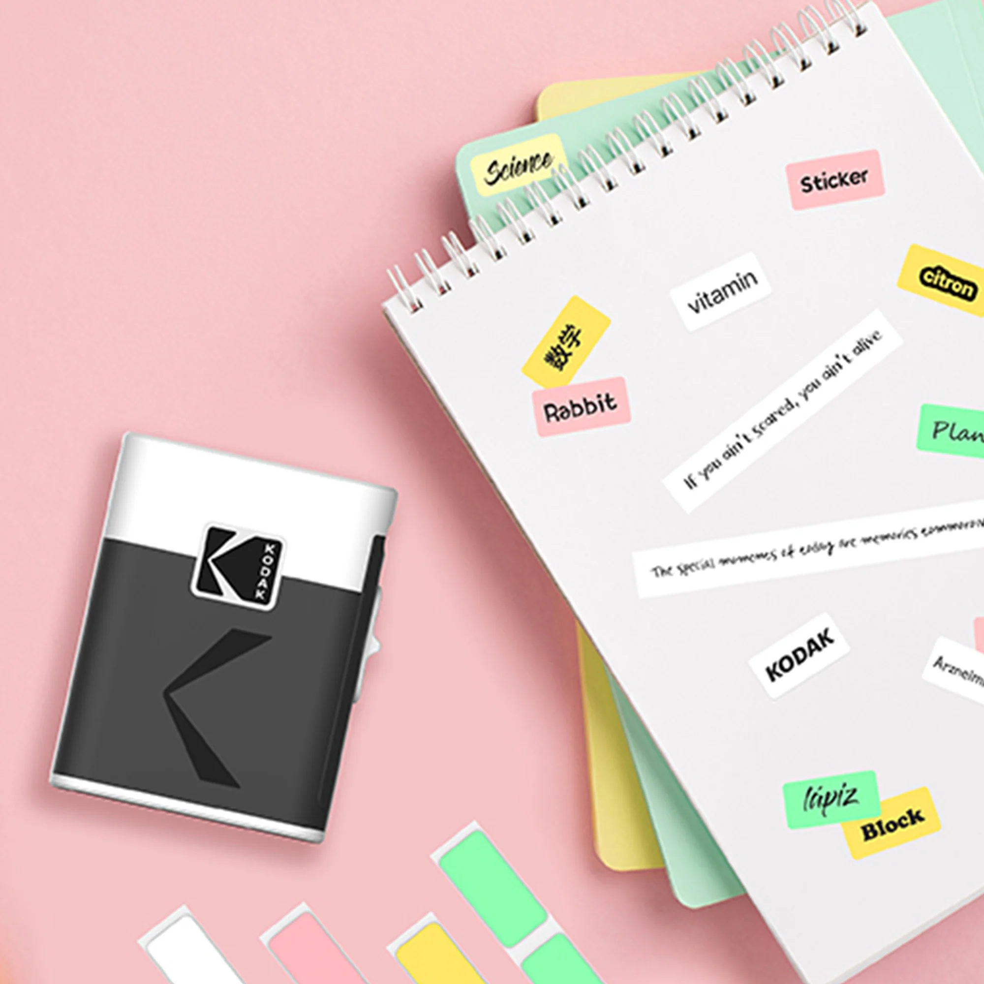 KODAK Label ERA Label Refill Pack (12 Rolls) - Image 6